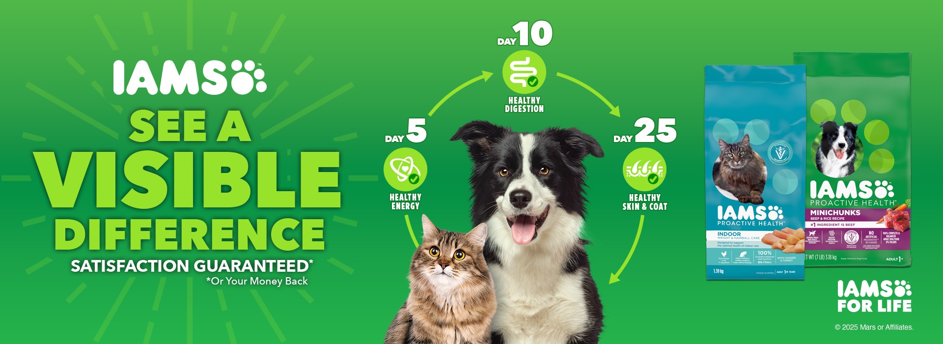 From healthy digestion to lasting energy, IAMS help pets thrive every day.